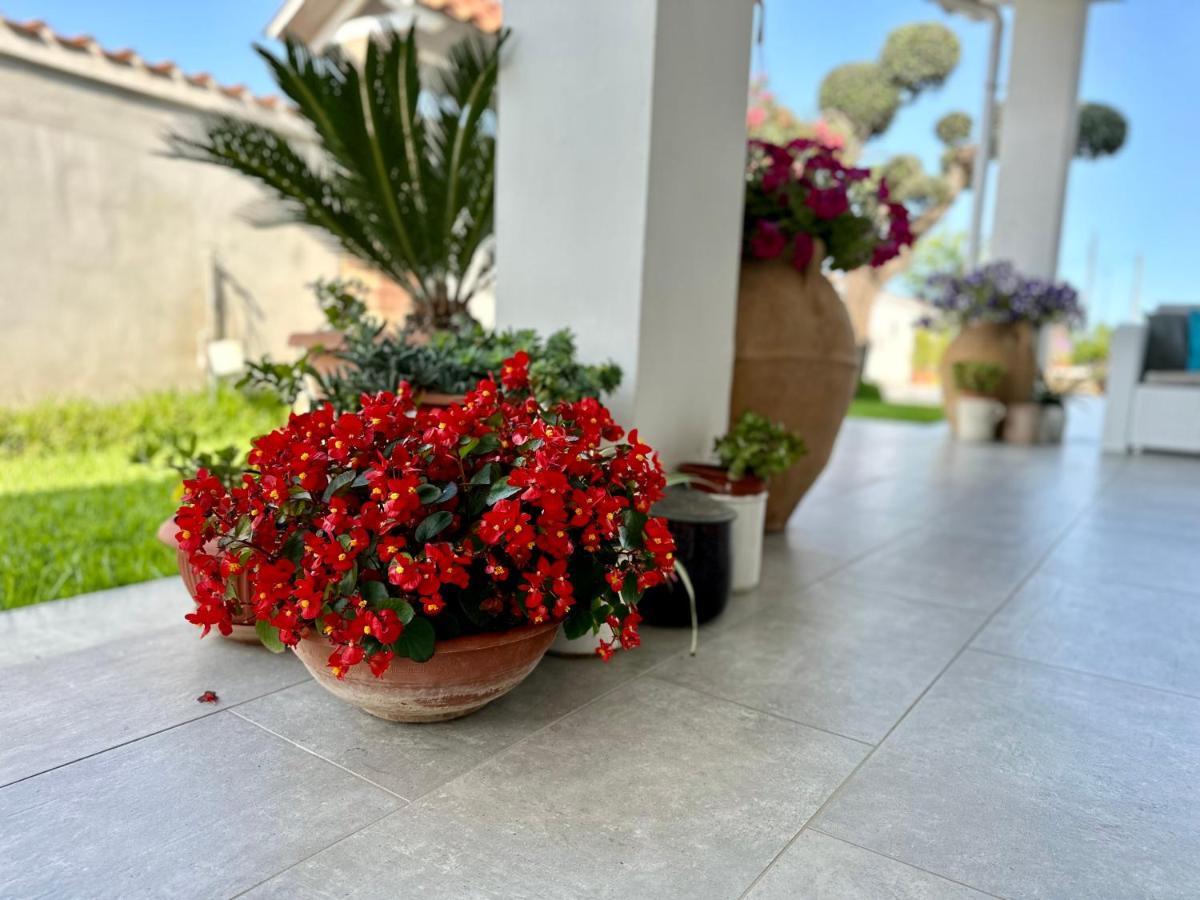 Invilla Bed&Breakfast - Quality Rooms Santa Maria di Castellabate Bagian luar foto