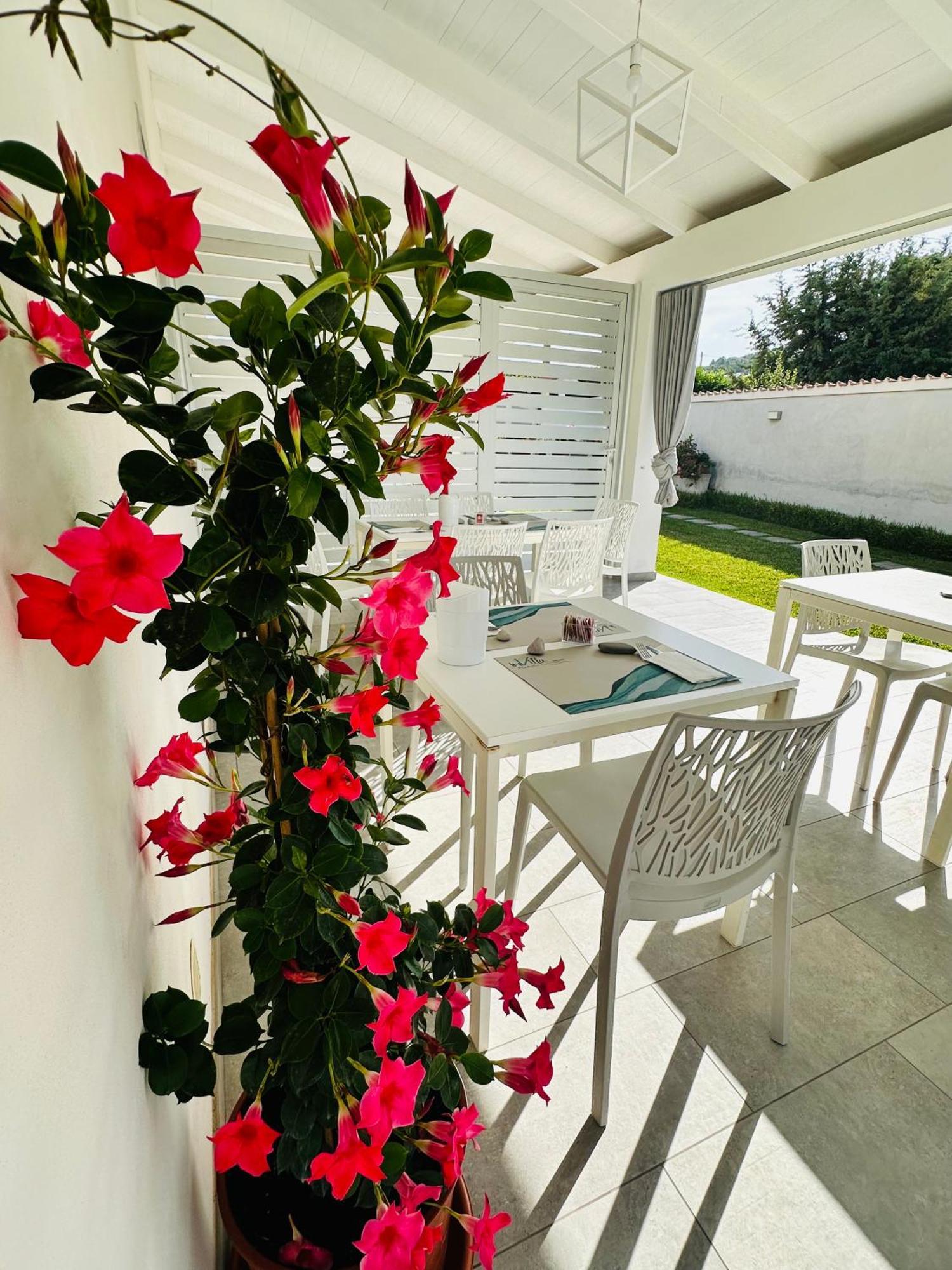 Invilla Bed&Breakfast - Quality Rooms Santa Maria di Castellabate Bagian luar foto