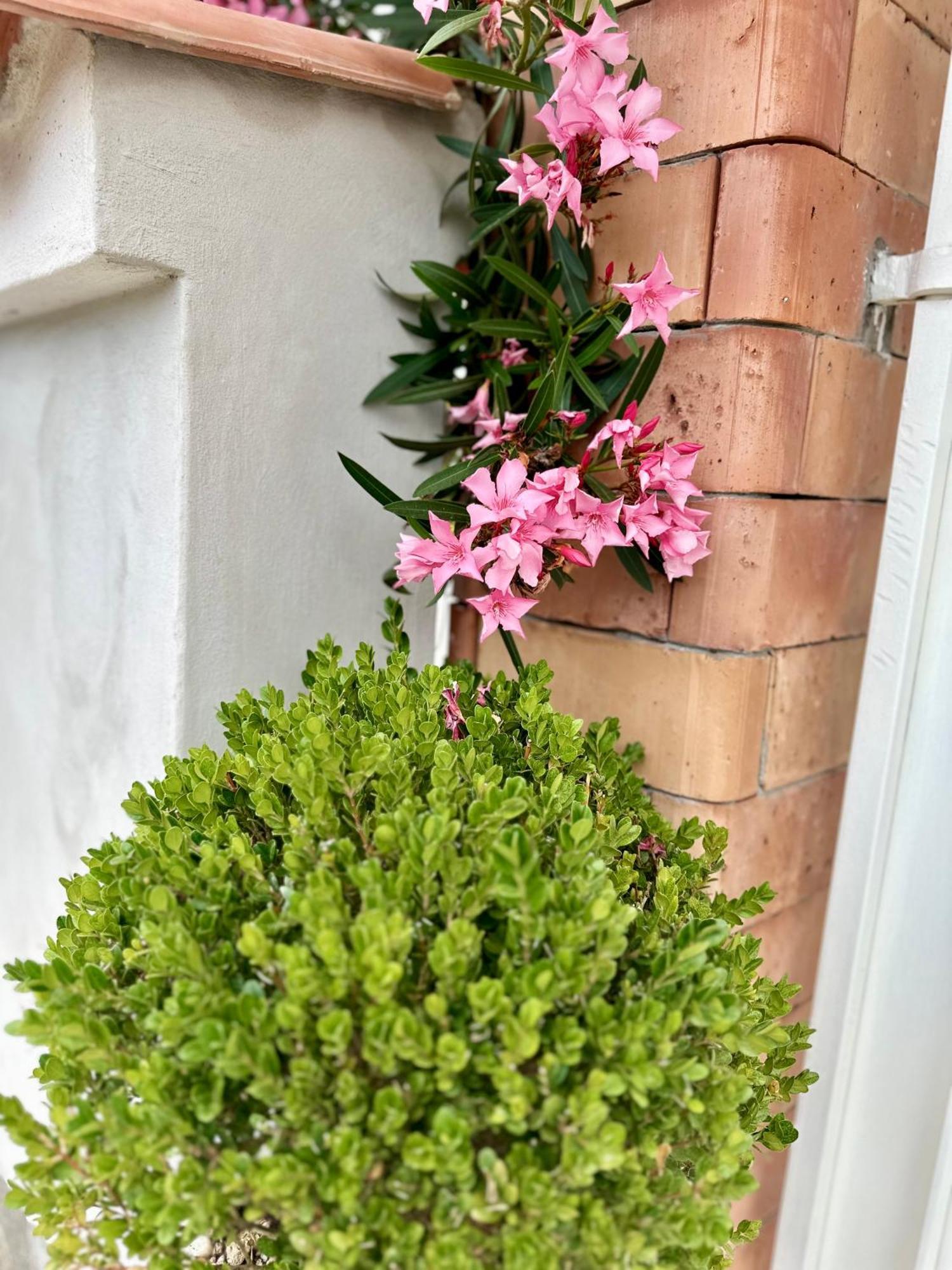 Invilla Bed&Breakfast - Quality Rooms Santa Maria di Castellabate Bagian luar foto