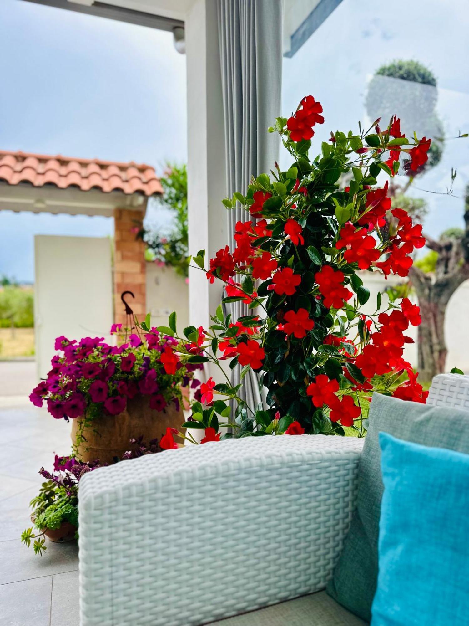 Invilla Bed&Breakfast - Quality Rooms Santa Maria di Castellabate Bagian luar foto