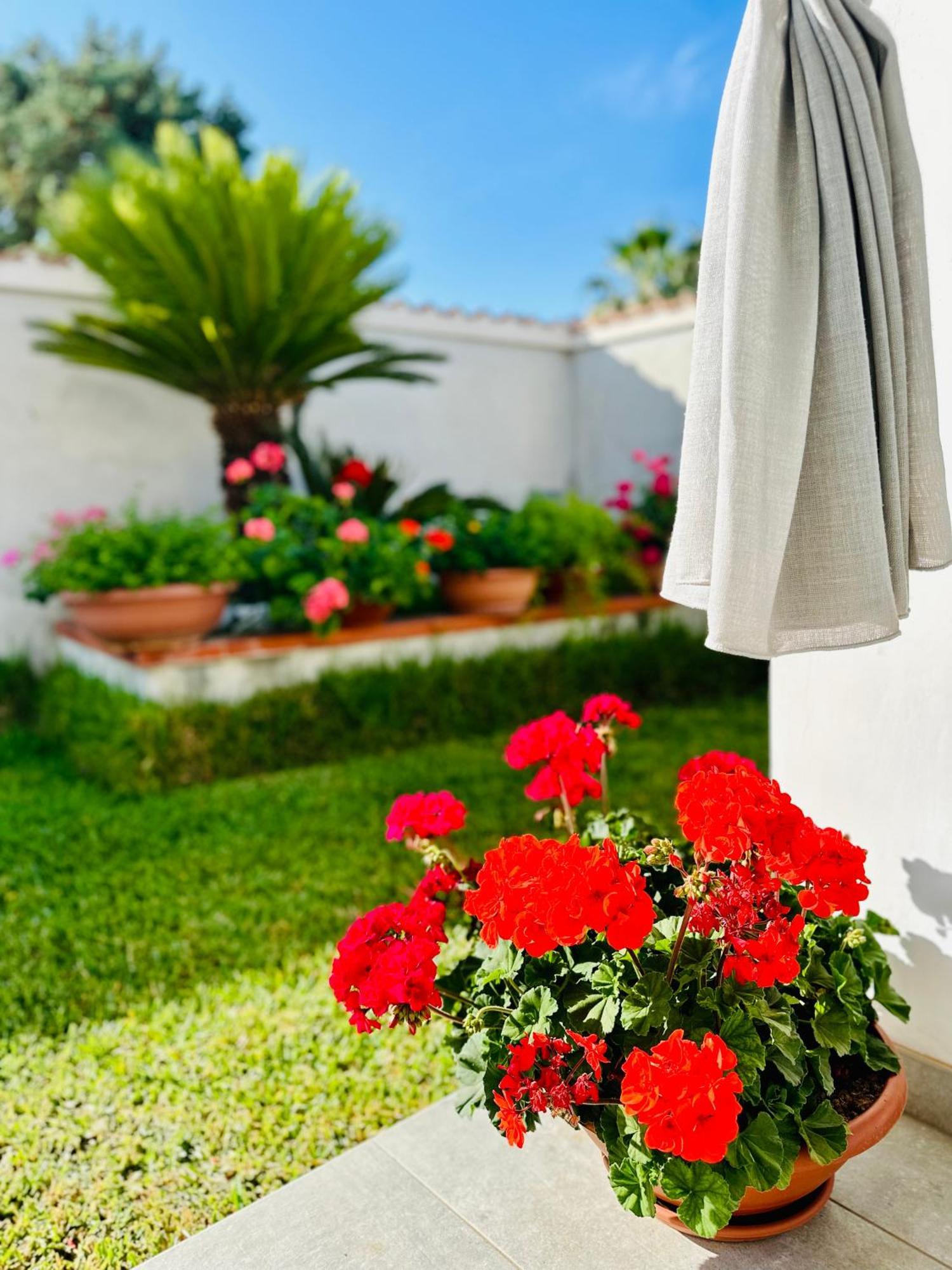 Invilla Bed&Breakfast - Quality Rooms Santa Maria di Castellabate Bagian luar foto