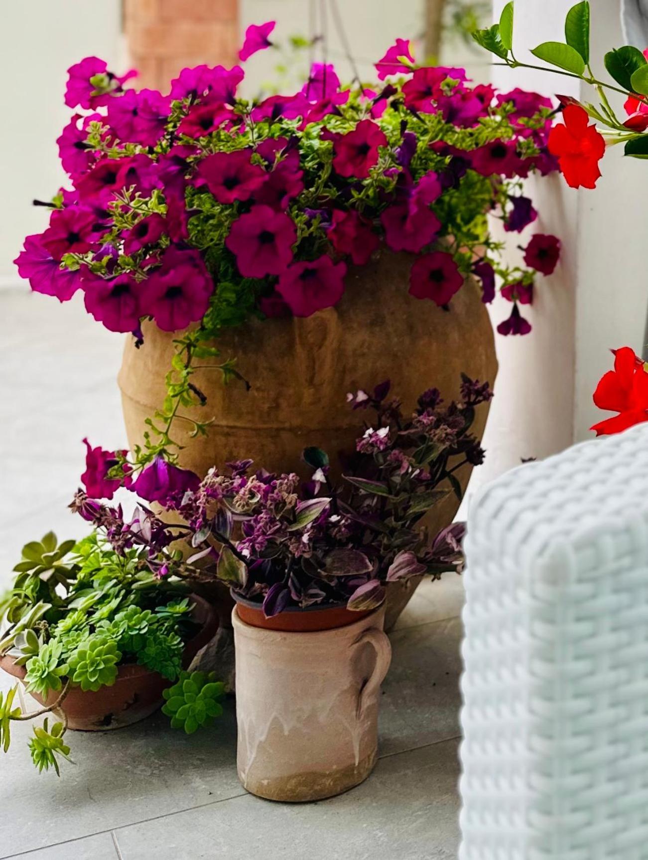 Invilla Bed&Breakfast - Quality Rooms Santa Maria di Castellabate Bagian luar foto