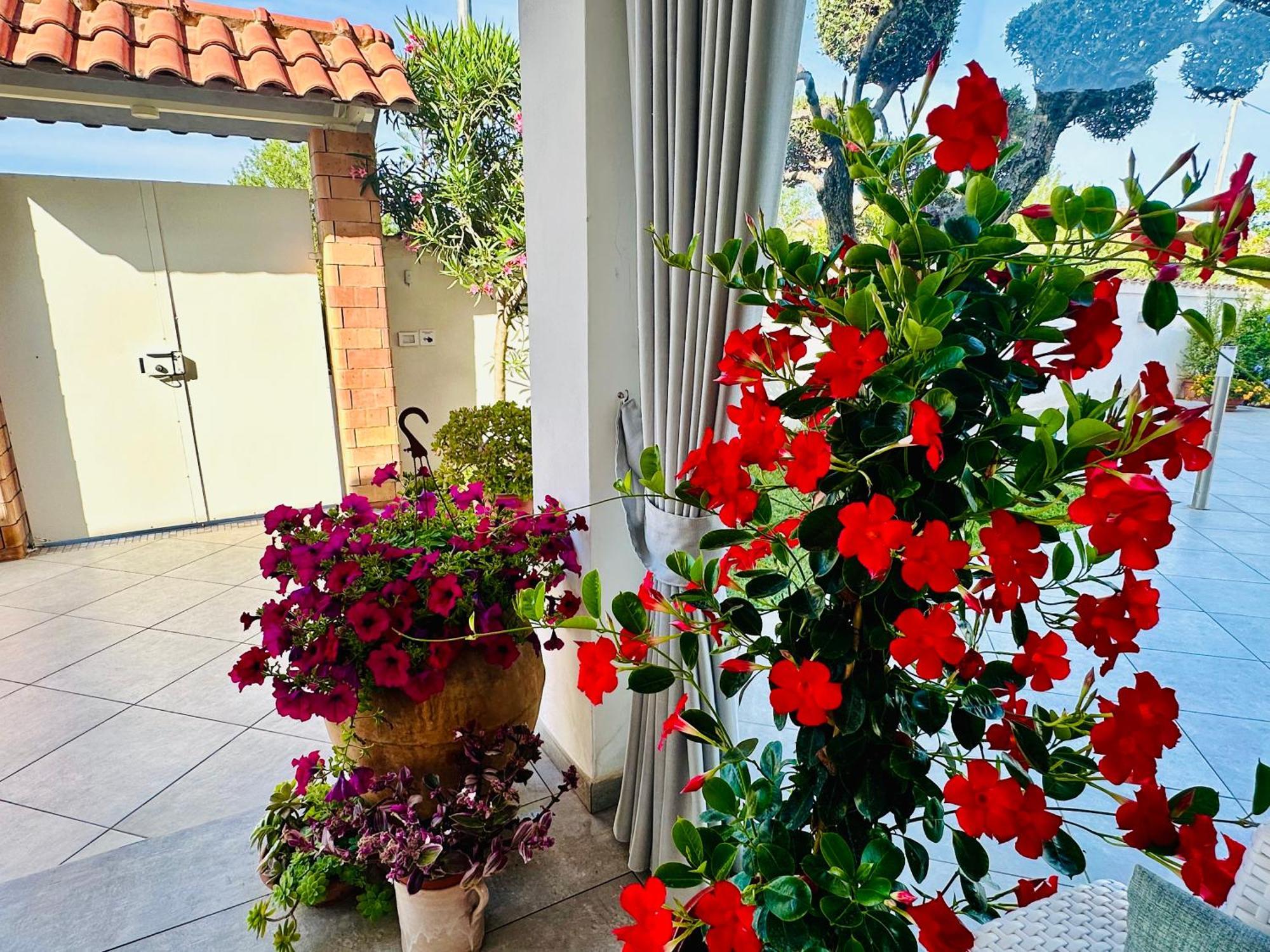 Invilla Bed&Breakfast - Quality Rooms Santa Maria di Castellabate Bagian luar foto