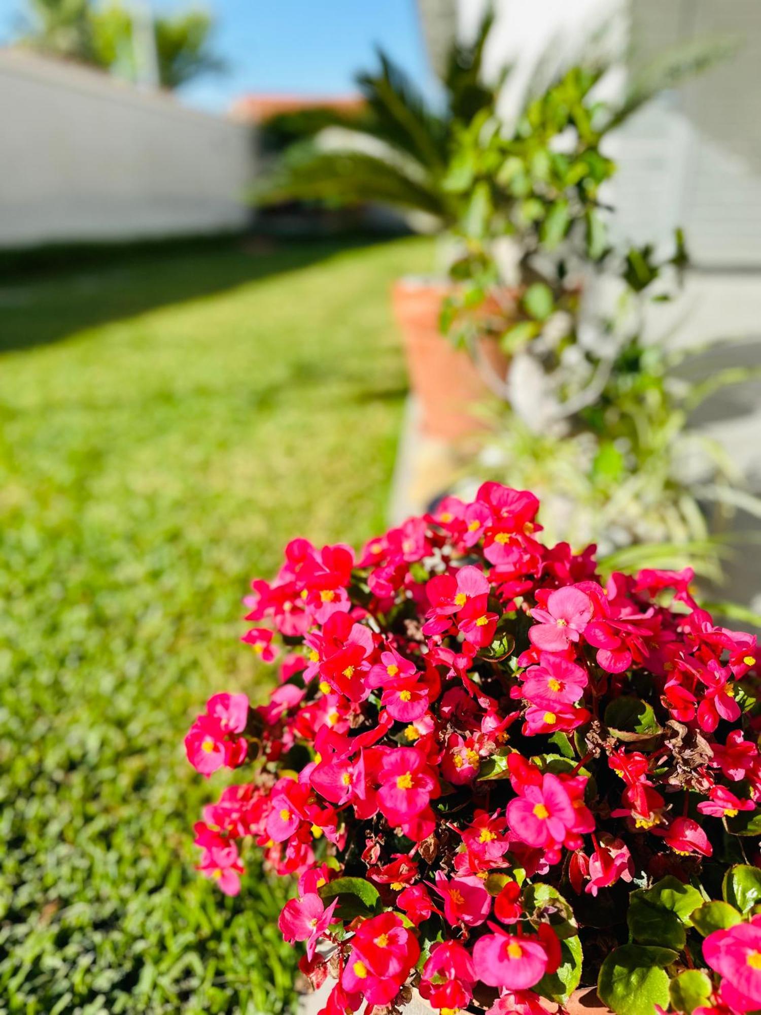 Invilla Bed&Breakfast - Quality Rooms Santa Maria di Castellabate Bagian luar foto